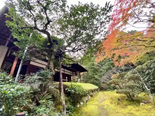 桂春院(京都府)
