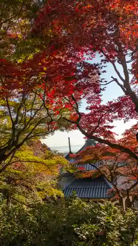 善峯寺(京都府)