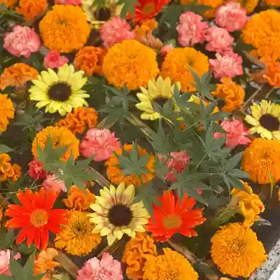 長良神社の手水舎