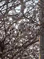 天満宮(滋賀県)