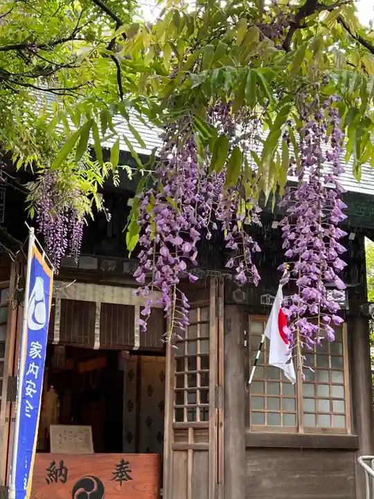 國領神社の自然