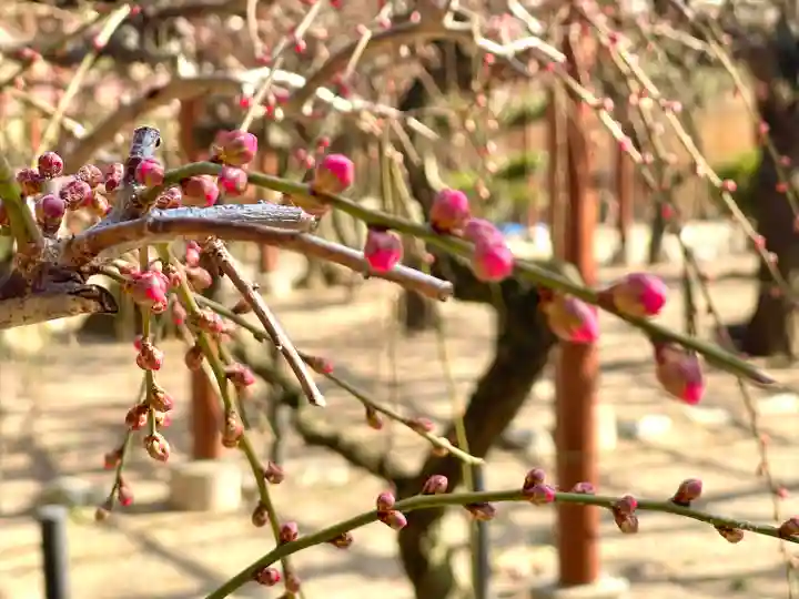 結城神社(三重県)
