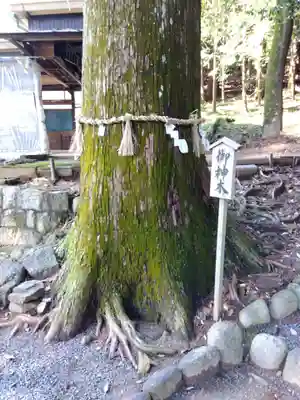 石座神社(愛知県)
