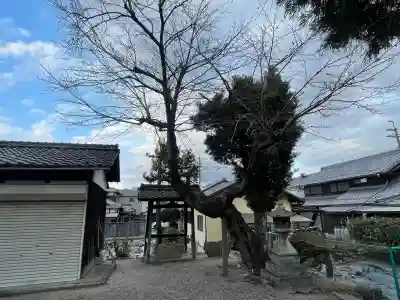 泊瀬部神社の{uncategorized: "未分類", other: "その他", undefined: "問題あり", building: "その他建物", grave: "お墓", sacred_gate: "鳥居", guardian: "狛犬", statue: "像", buddha: "仏像", history: "歴史", nature: "自然", garden: "庭園", animal: "動物", pagoda: "塔", temizu: "手水舎", mountain_gate: "山門・神門", sanctuary: "本殿・本堂", subordinate: "末社・摂社", art: "芸術", scenery: "景色", jizo: "地蔵", ema: "絵馬", goshuin: "御朱印", omikuji: "おみくじ", items: "授与品その他", amulet: "お守り", goshuincho: "御朱印帳", eats: "食事", festival: "お祭り", votive_dance: "神楽", shichigosan: "七五三参", wedding: "結婚式", experience: "体験その他", initially: "初詣", around: "周辺", anti_infection: "感染症対策"}