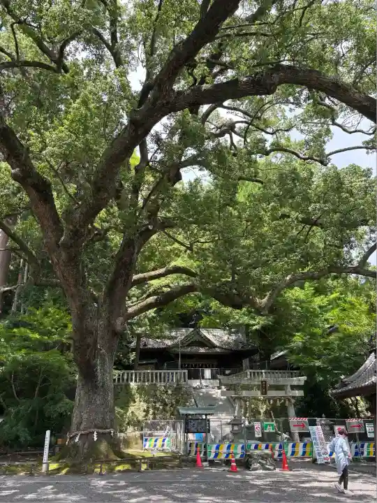 事任八幡宮(静岡県)