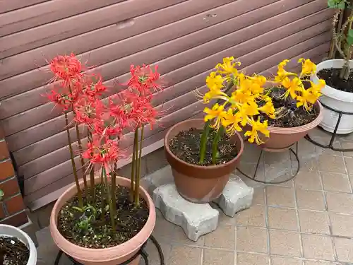 安倍晴明神社（阿倍王子神社境外末社）の自然
