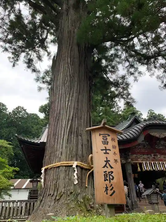 北口本宮冨士浅間神社(山梨県)