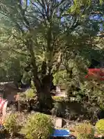 流谷八幡神社(大阪府)