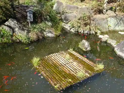 長谷寺(神奈川県)