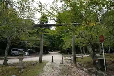大元神社(厳島神社境外摂社)の鳥居
