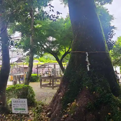 武蔵寺(福岡県)