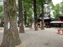 田無神社の建物その他