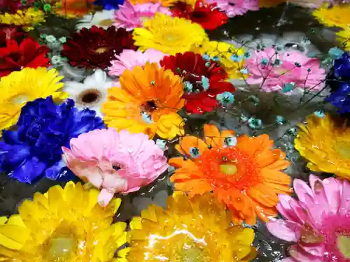 札幌諏訪神社の手水舎