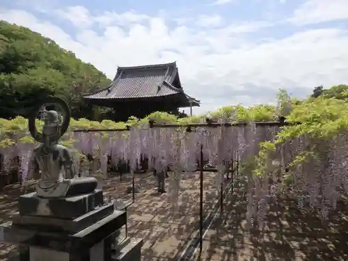 長泉寺の景色