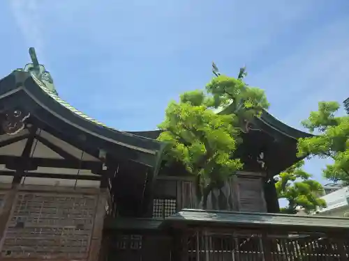 今宮戎神社(大阪府)