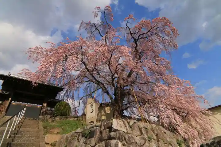 長興寺の山門・神門