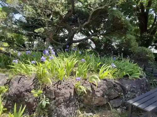 横浜　西方寺(神奈川県)