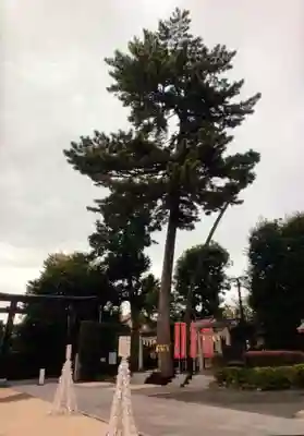 中野沼袋氷川神社(東京都)