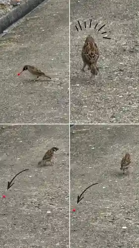 七重浜海津見神社(北海道)