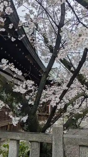 天孫神社(滋賀県)