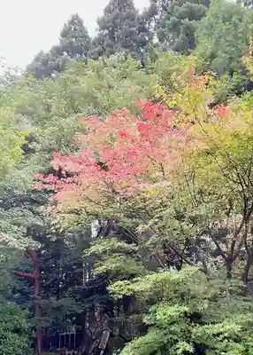 市房山神宮里宮神社(熊本県)
