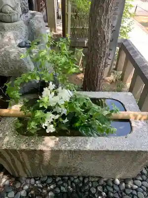 東光院(大阪府)