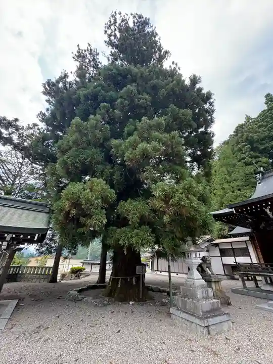 村上神社(岐阜県)