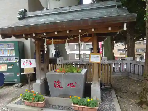 高円寺氷川神社の手水