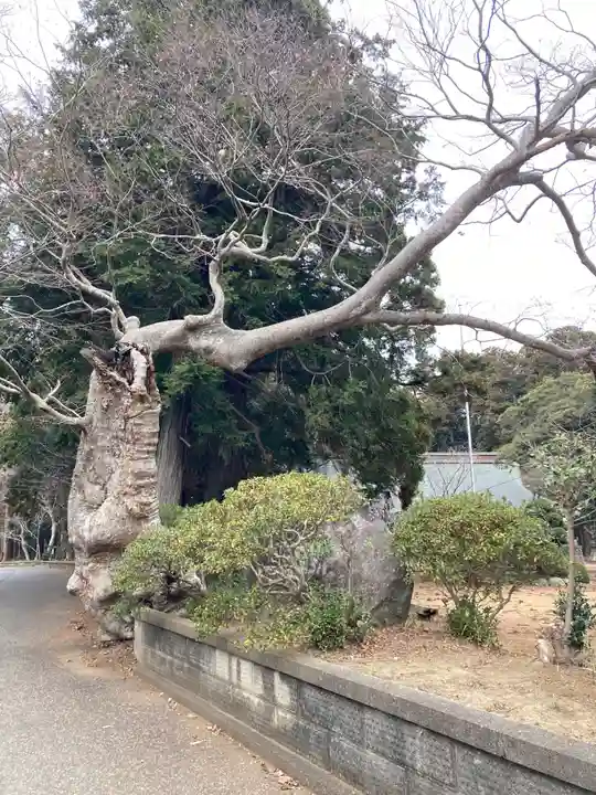 東大社(千葉県)