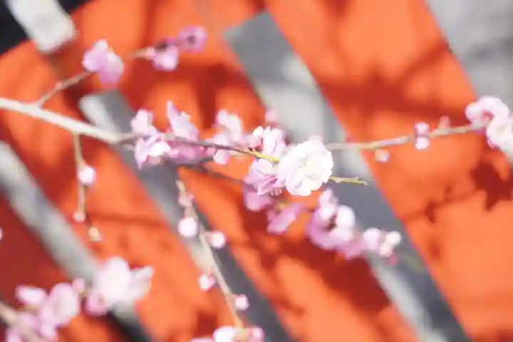 瀧宮神社(広島県)