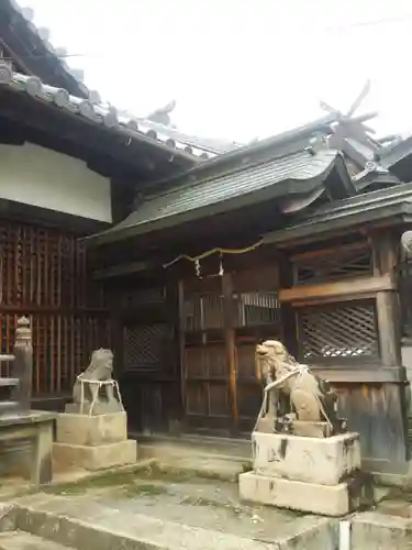酒見寺の狛犬
