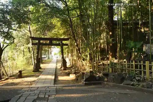 渋谷氷川神社(東京都)