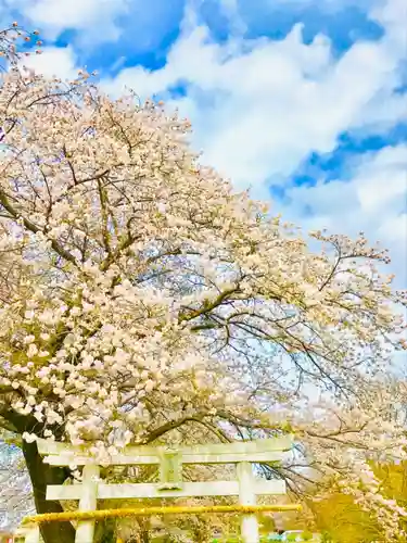 鹿嶋神社の自然