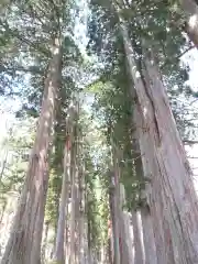 戸隠神社奥社(長野県)