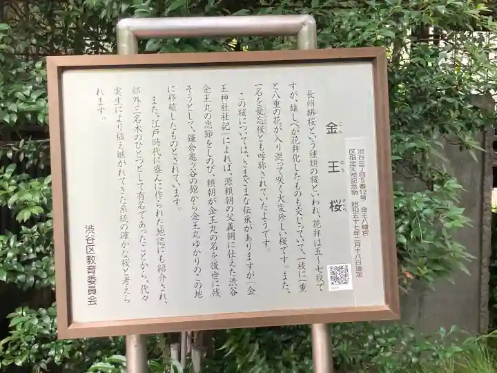 金王八幡宮の{uncategorized: "未分類", other: "その他", undefined: "問題あり", building: "その他建物", grave: "お墓", sacred_gate: "鳥居", guardian: "狛犬", statue: "像", buddha: "仏像", history: "歴史", nature: "自然", garden: "庭園", animal: "動物", pagoda: "塔", temizu: "手水舎", mountain_gate: "山門・神門", sanctuary: "本殿・本堂", subordinate: "末社・摂社", art: "芸術", scenery: "景色", jizo: "地蔵", ema: "絵馬", goshuin: "御朱印", omikuji: "おみくじ", items: "授与品その他", amulet: "お守り", goshuincho: "御朱印帳", eats: "食事", festival: "お祭り", votive_dance: "神楽", shichigosan: "七五三参", wedding: "結婚式", experience: "体験その他", initially: "初詣", around: "周辺", anti_infection: "感染症対策"}