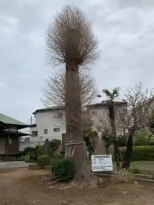 根立寺の自然