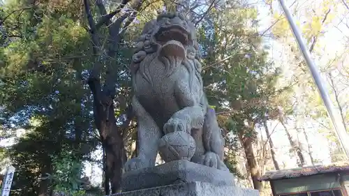 馬場氷川神社の狛犬