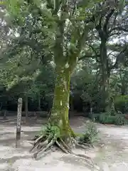 江田神社(宮崎県)