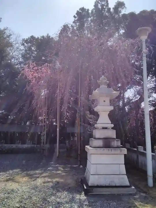 神峰神社の自然