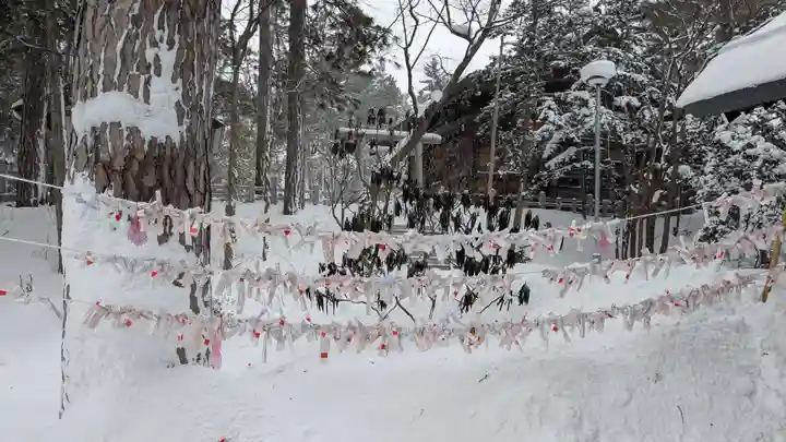 上川神社のおみくじ