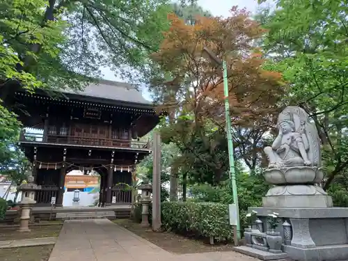 大円寺の山門