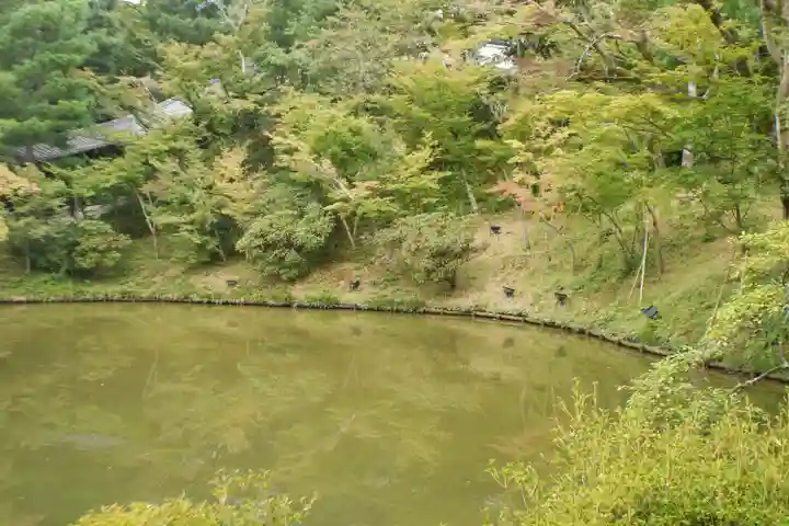 高台寺(高台寿聖禅寺・高臺寺)(京都府)