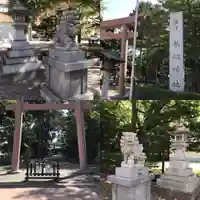 琴似神社の狛犬