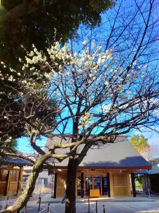 新井天神北野神社(東京都)