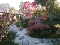 霊源院の庭園