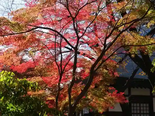 淨眞寺の庭園