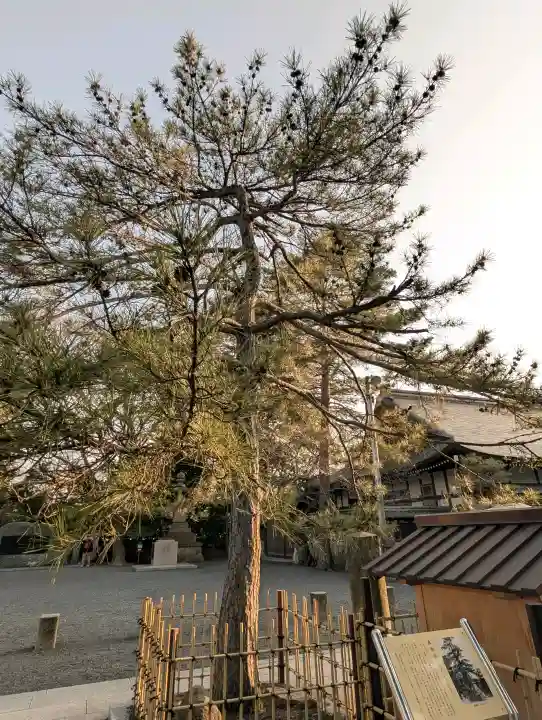 氣比神宮の{uncategorized: "未分類", other: "その他", undefined: "問題あり", building: "その他建物", grave: "お墓", sacred_gate: "鳥居", guardian: "狛犬", statue: "像", buddha: "仏像", history: "歴史", nature: "自然", garden: "庭園", animal: "動物", pagoda: "塔", temizu: "手水舎", mountain_gate: "山門・神門", sanctuary: "本殿・本堂", subordinate: "末社・摂社", art: "芸術", scenery: "景色", jizo: "地蔵", ema: "絵馬", goshuin: "御朱印", omikuji: "おみくじ", items: "授与品その他", amulet: "お守り", goshuincho: "御朱印帳", eats: "食事", festival: "お祭り", votive_dance: "神楽", shichigosan: "七五三参", wedding: "結婚式", experience: "体験その他", initially: "初詣", around: "周辺", anti_infection: "感染症対策"}