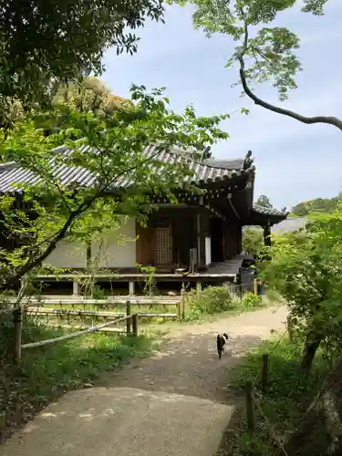 浄瑠璃寺(京都府)