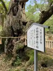 大山祇神社の歴史