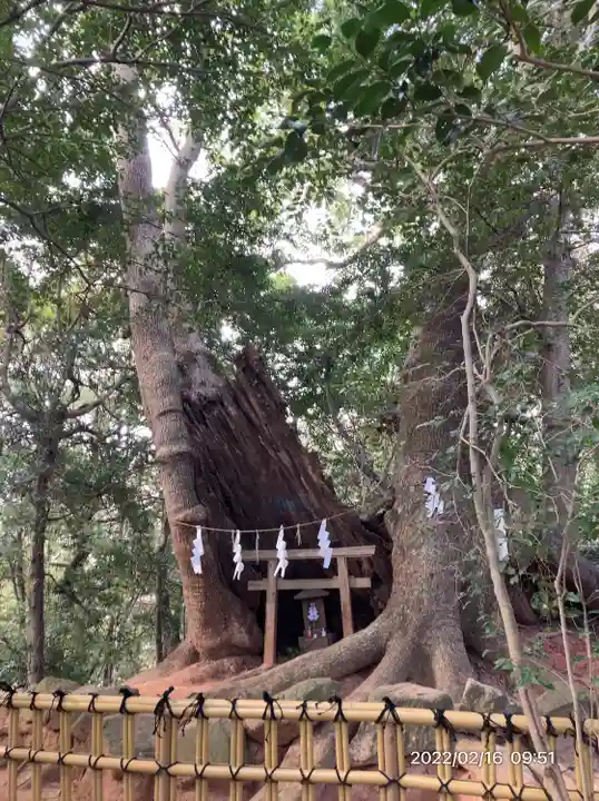 住吉神社(山口県)